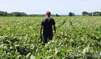 The farm goods at the heart of the US-China trade war
