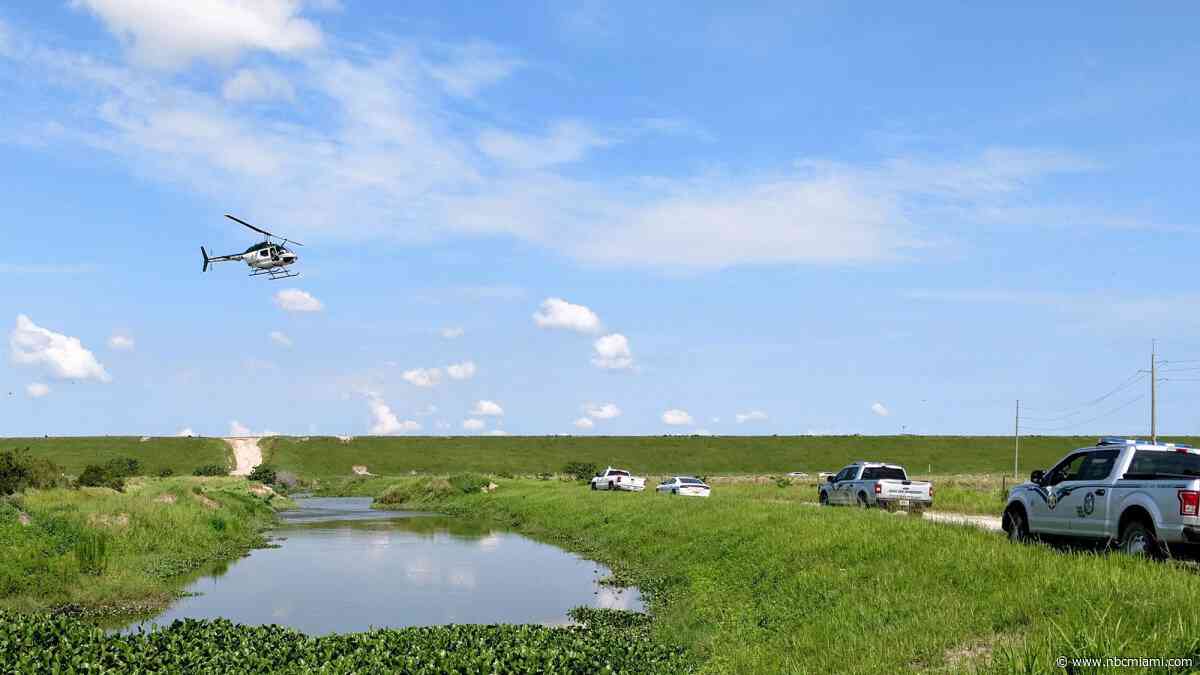 Florida Man Died From Meth Overdose Before Alligator Ate Him