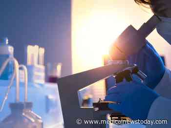 Medical News Today: Could epigenome editing prevent developmental disorders?