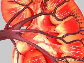 Potentially Nephrotoxic Meds Prescribed to Children With CKD