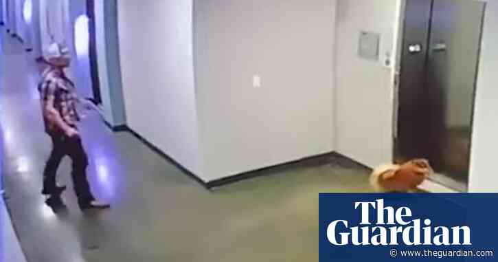 CCTV captures dramatic moment man saves dog after leash caught in elevator