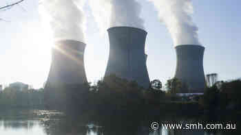 Taylor rejects call for partial lift of nuclear power ban