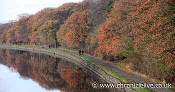 Wansbeck general election results 2019 - full standings, MP and reaction
