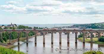 Berwick general election results 2019 - full standings, MP and reaction
