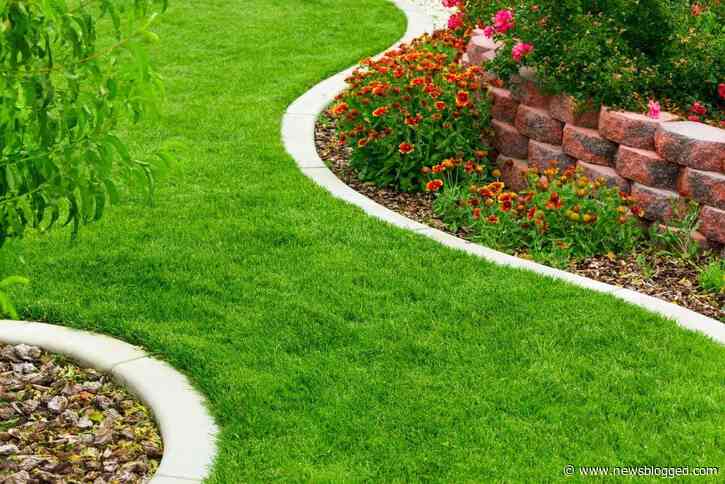 Things to Consider for your Dream House Landscape