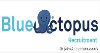 Blue Octopus Recruitment Limited: Lecturer – Engineering