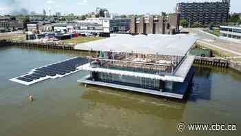 World's 1st floating dairy farm could help cities adapt to climate change