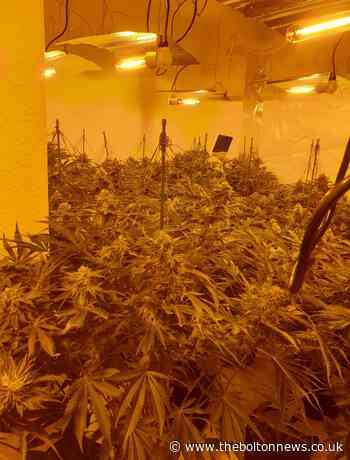 Police in Radcliffe investigating large cannabis farm