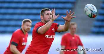 Scarlets v Bayonne team news: Brad Mooar welcomes back Welsh rugby's man of moment and two other Test stars