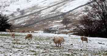 Met Office reveals latest weekend weather forecast for Wales with cold and snow possible