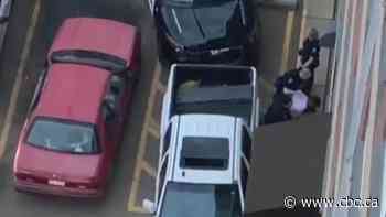 Crown admits Edmonton police used 'unnecessary force' in arrest of truck thief 