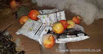 An environmentally-friendly company has apologised after loads of its products washed up on a Welsh Beach