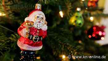 Kinderbeauftragter bucht Stripperin für Weihnachtsfeier mit Minderjährigen