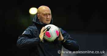Former Swansea City chief Cameron Toshack gets head coach's job