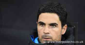 Mikel Arteta emerges as new candidate for Everton manager job