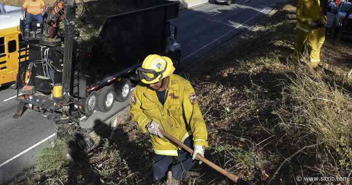 California wildfire prevention turns to thinning forests