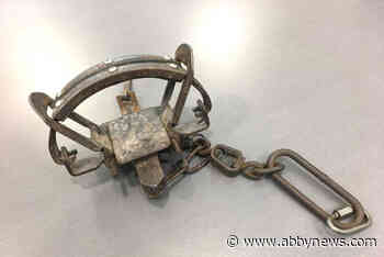 Cranbrook man calls for ban after dog caught in leg hold trap