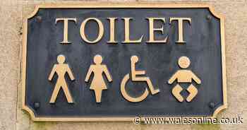 Cardiff council wants more businesses to allow the public to use their toilets