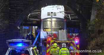 Olympic gold medallist among injured in Swansea double decker bus crash