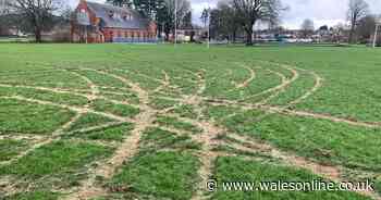 Mindless vandals wreck pitch at Sam Warburton's old club, leaving 150 youngsters with nowhere to play