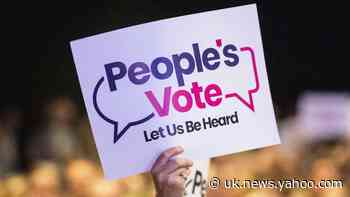 People’s Vote campaign to ‘rebrand’ after conceding second referendum unlikely