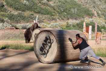 Houston bodyguard challenges Grizzly bear in all-new reality TV series on Discovery Channel