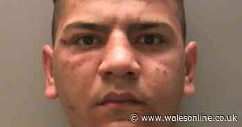 Teen locked up for 12 years for stabbing man in chest millimetres from his heart