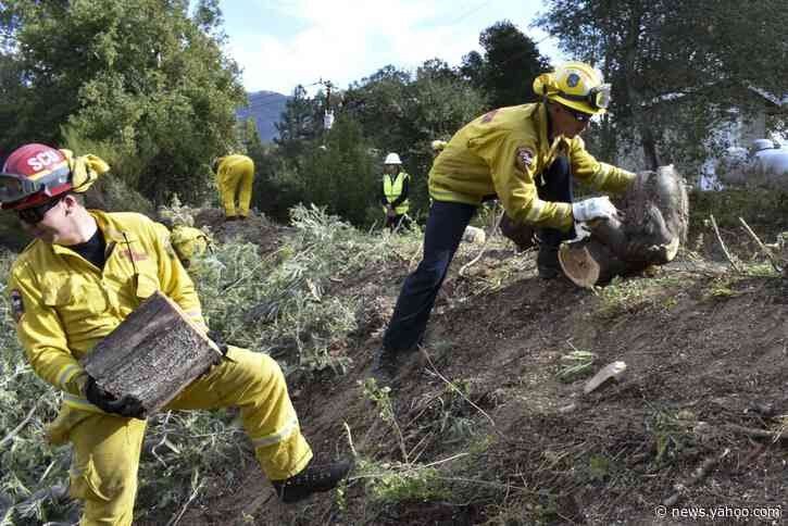 As California thins forests to limit fire risk, some resist