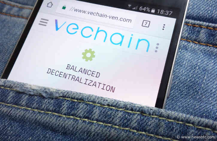 VeChain Buyback Crypto Wallet Hacked of 1.1 Billion VET