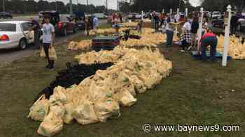 Hundreds Served at 25th Annual Holiday Food Giveaway