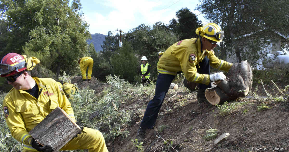 Forest thinning to stop wildfires as strong as weakest link