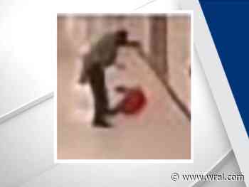 Vance sheriff 'stunned and shocked' by video of SRO throwing, dragging middle school student