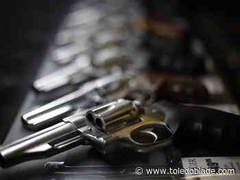 Effort to force passage of gun check law delayed