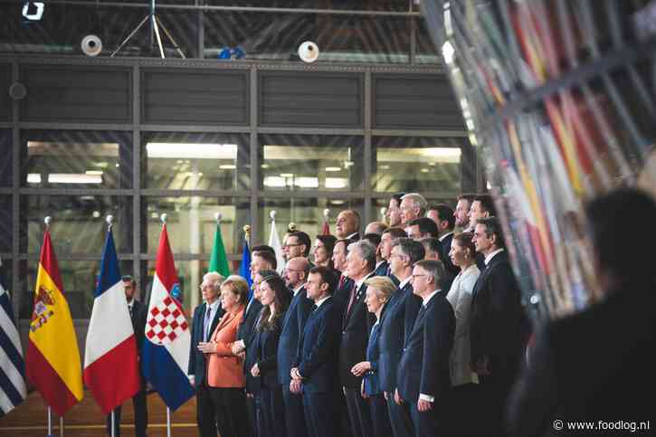 Een groene en ambitieuze maar zachte agenda in een verzwakte EU