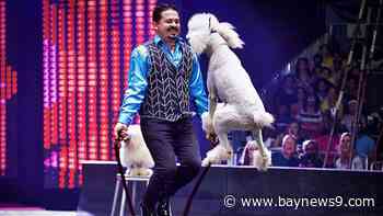 On the Town: UniverSoul Circus Makes Rare Stop in Sarasota