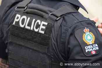 Man accused of child sex crimes out on bail: Delta police