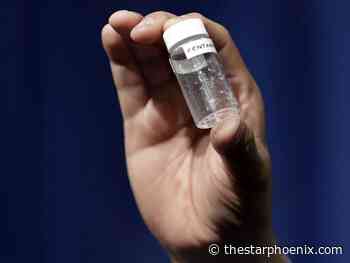 Almost 14,000 Canadians, including more than 300 in Sask., killed by opioids since 2016: study