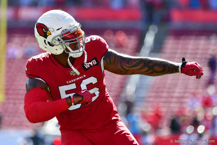 Former Raven Terrell Suggs Released From Arizona Cardinals, Fans Say ‘Come Back Home’