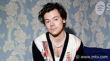 Is Harry Styles’s Fine Line More About Having Sex Or Feeling Sad? We Investigate
