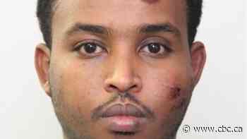 Man who tried to kill Edmonton police officer sentenced to 28 years