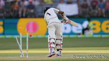 If you don't get why people like cricket, last night in Perth is a good place to start