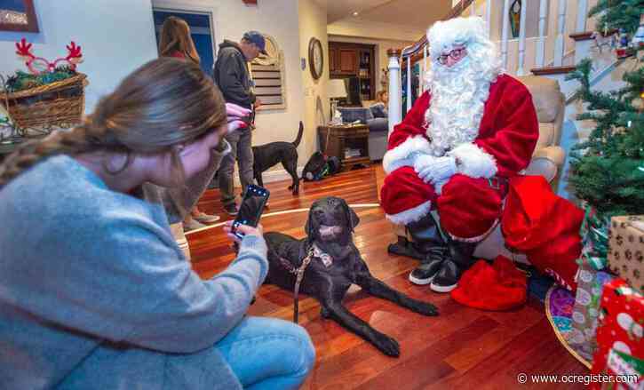 Happy howl-idays: Dogs party with Santa