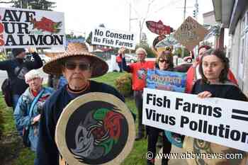 Trudeau sets 2025 deadline to remove B.C. fish farms