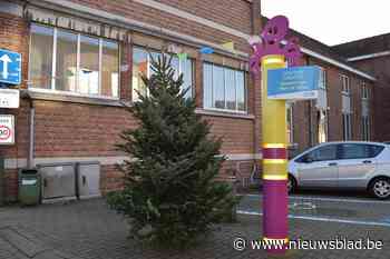 Gemeente plaatst kerstbomen, maar inwoners moeten ze versieren