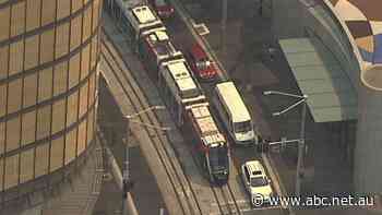 Sydney Light Rail 'fail' as trams come to a halt just hours after official opening