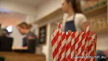SA sticks to plastic straw ban despite opposition from disability sector