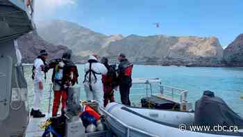 New Zealand divers search contaminated waters for remaining volcano victims