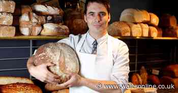 Supermarket sourdough is 'sourfaux' says Real Bread Campaign