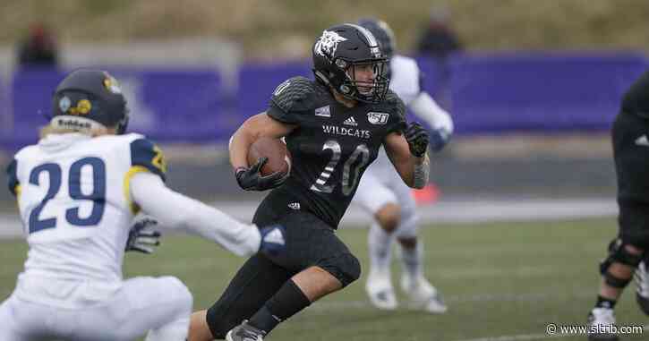 Weber State tops Montana 17-10, advances to first FCS semifinals