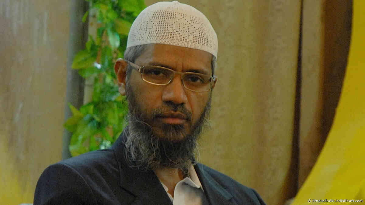 People can preach good Islam, but can't allow those who preach hate: Former Maldives President on Zakir Naik